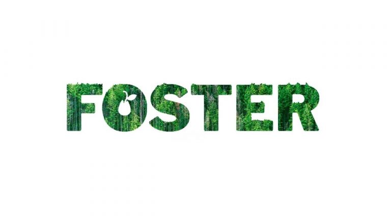 foster 768x432 cGGZoJ