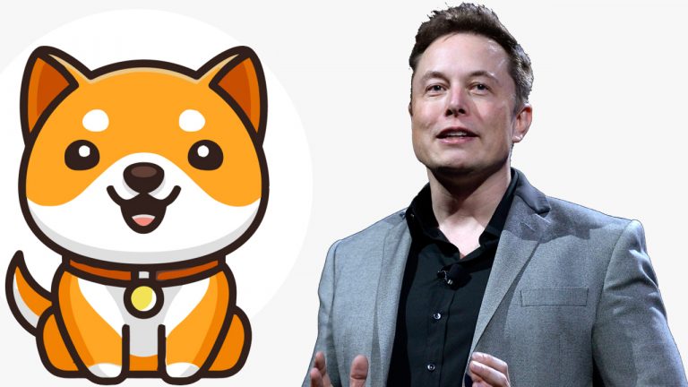 elon musk tweet sends new baby doge coin soaring meme tokens daily gains jump 228 768x432 C7SJLH