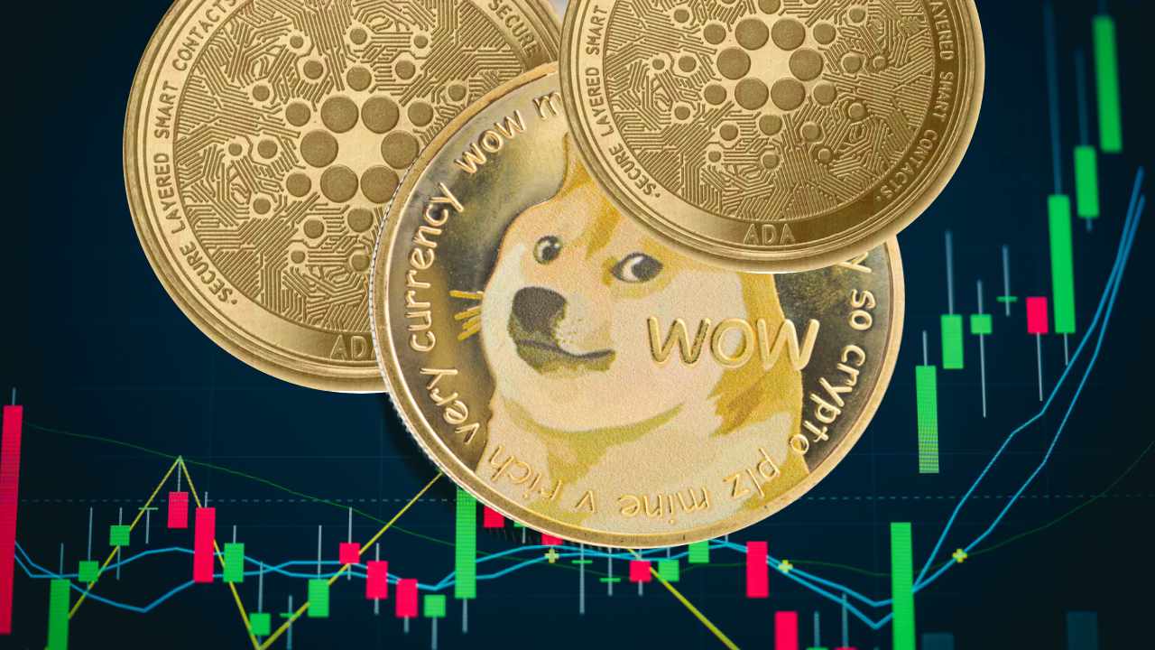 doge ada 0AseSD