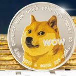 dogecoin foundation 5lrBcw
