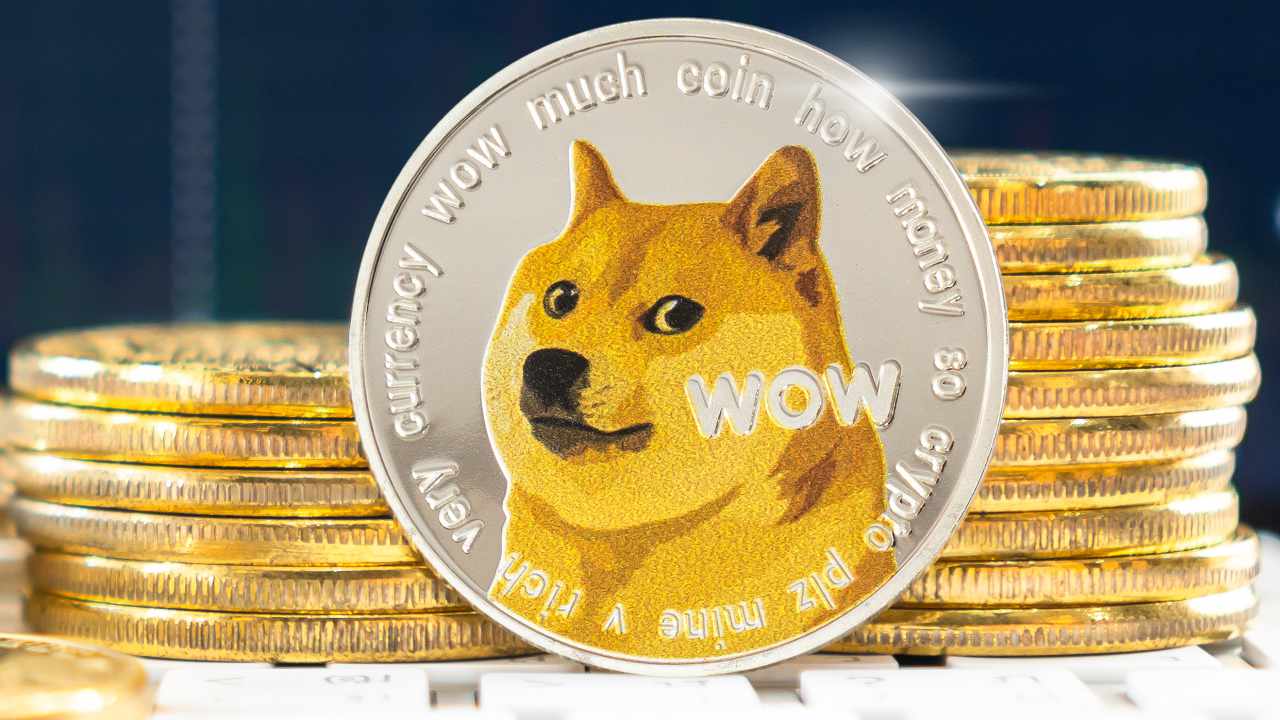 dogecoin foundation 5lrBcw