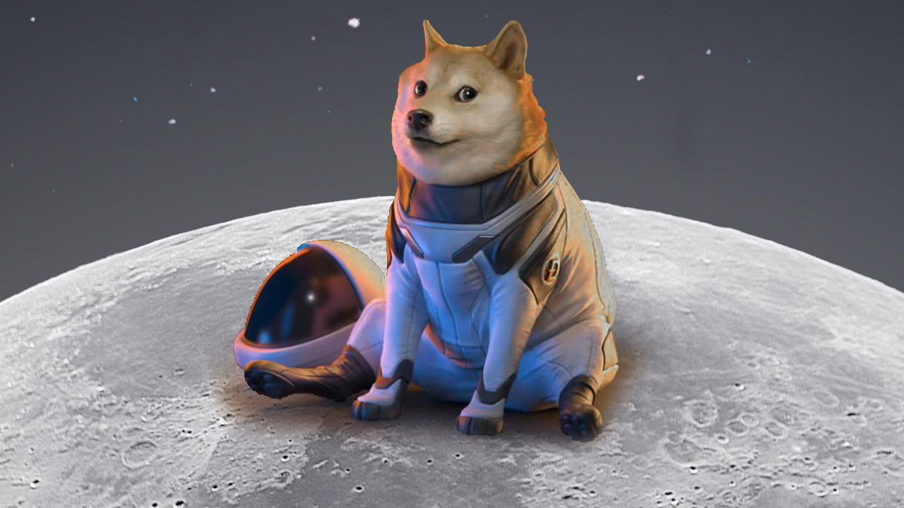 dogek M2SQJG