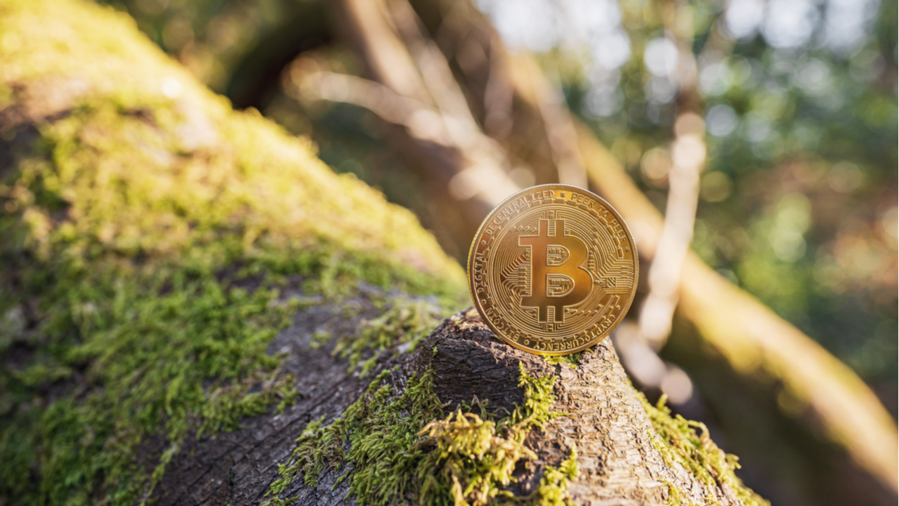 cryptowisser cryptocurrency likely to be more environmentally friendly than traditional banks cAUKT9