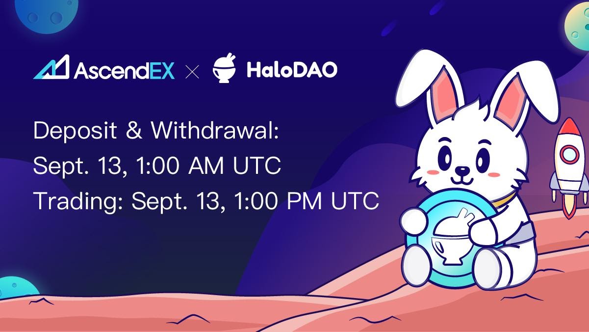 halodao lists on ascendex butcdi