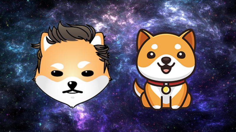as doge shib markets fall back baby doge coin and dogelon mars prices skyrocket AheEhU