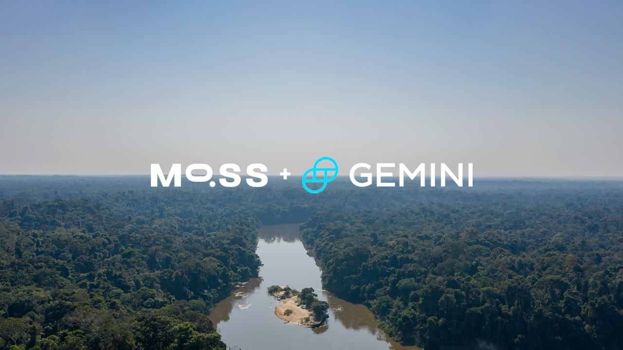 gemini moss gAZXpi