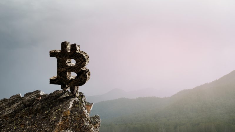 Microstrategy CEO Advises Nigeria and Zimbabwe to Adopt Bitcoin Standard, Says BTC Is ‘Kingmaker’ 1 shutterstock 1384927370 VzDMqZ